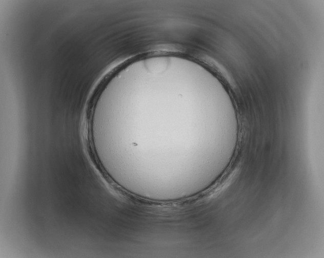 X0000112901125200908211045
