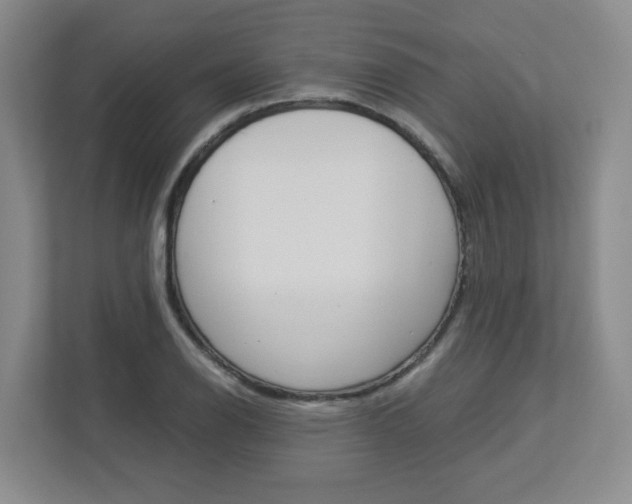 X0000112901126200908211045