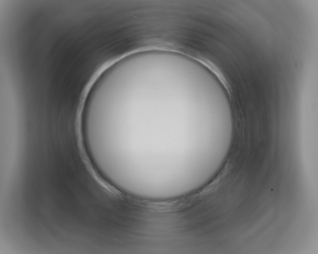 X0000112901128200908211045