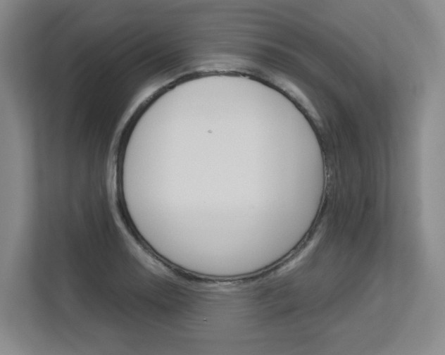 X0000112901130200908211045