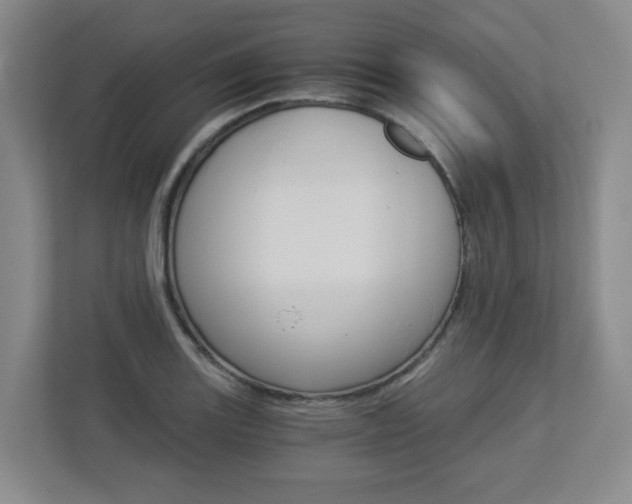 X0000112901131200908211045