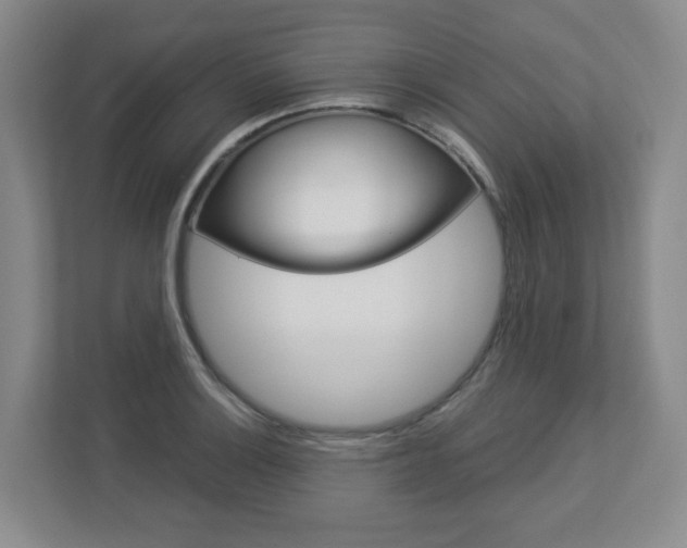 X0000112901132200908211045