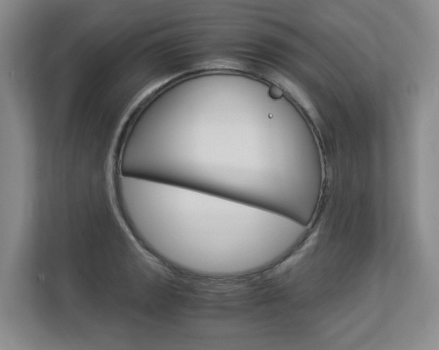 X0000112901133200908211045