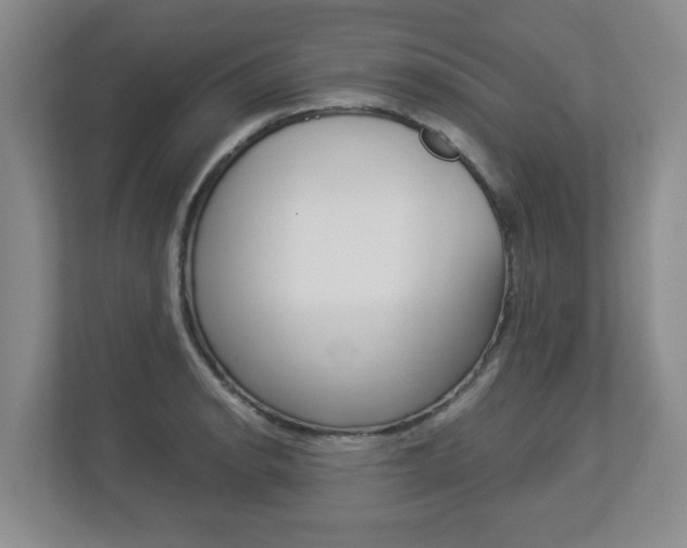 X0000112901134200908211045