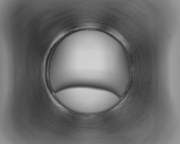 X0000112901135200908211045