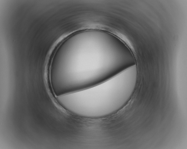 X0000112901136200908211045