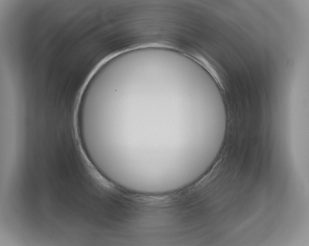 X0000112901140200908211045