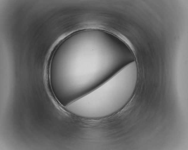 X0000112901144200908211045