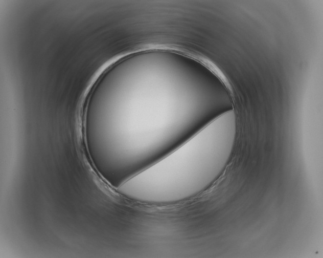 X0000112901148200908211045