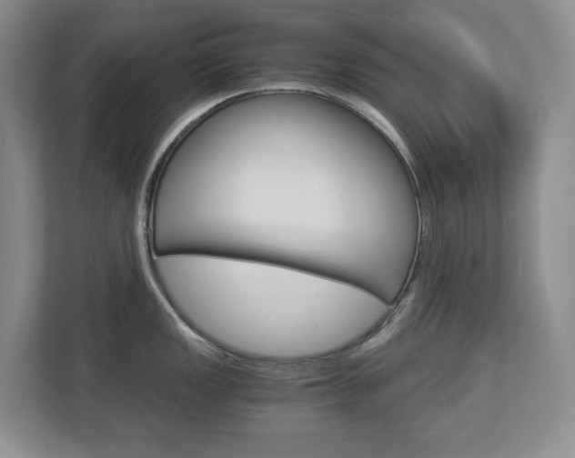 X0000112901149200908211045