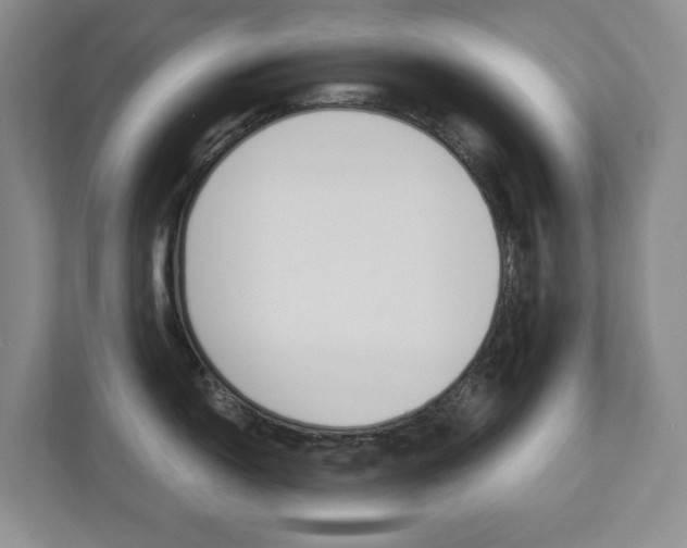 X0000112901150200908211045