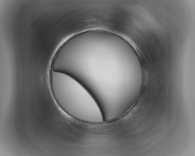 X0000112901151200908211045