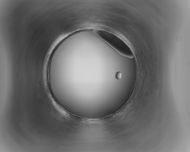 X0000112901152200908211045