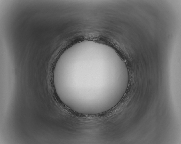X0000112901153200908211044