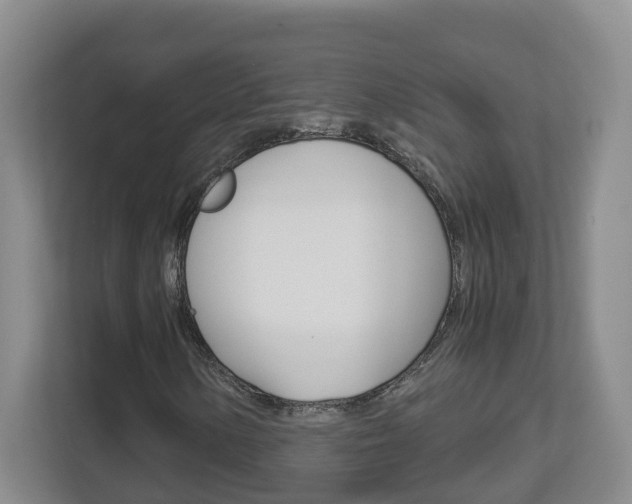 X0000112901154200908211044