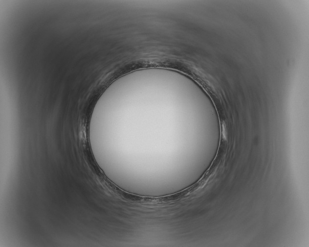 X0000112901155200908211044