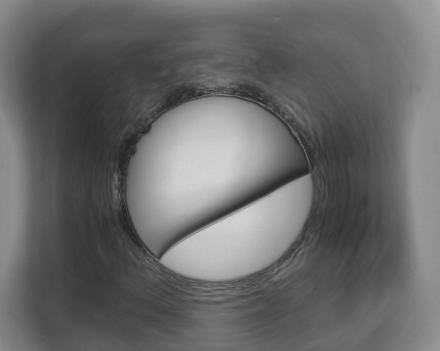 X0000112901156200908211044