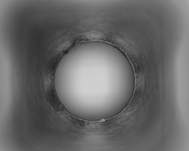 X0000112901157200908211044