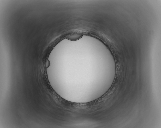 X0000112901158200908211044