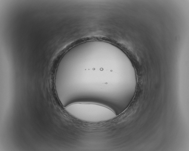 X0000112901159200908211044