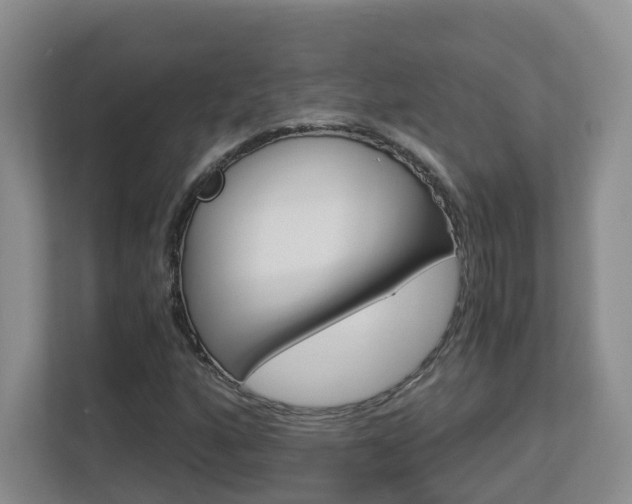 X0000112901160200908211044