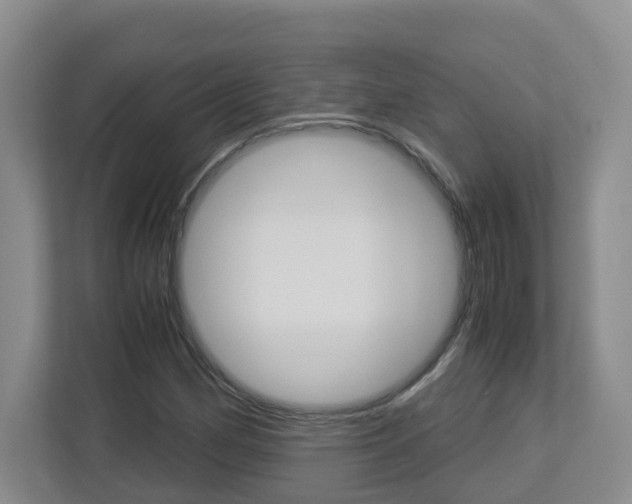 X0000112901162200908211044