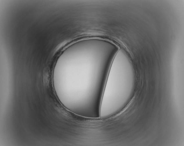 X0000112901163200908211044