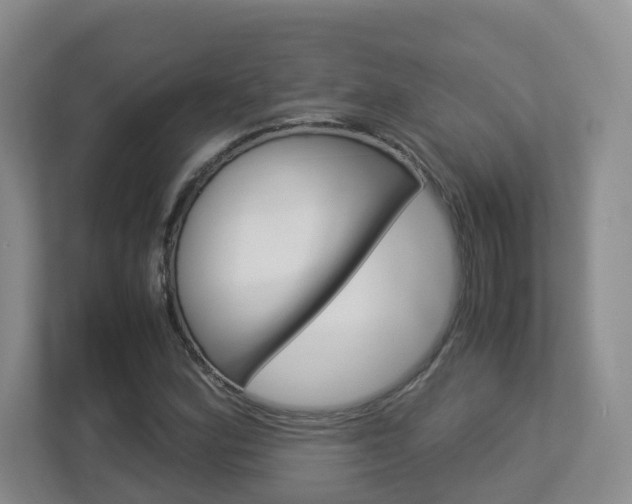 X0000112901164200908211044