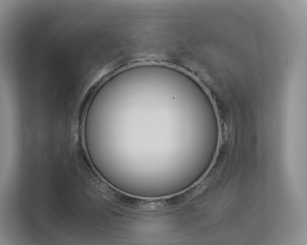 X0000112901165200908211044