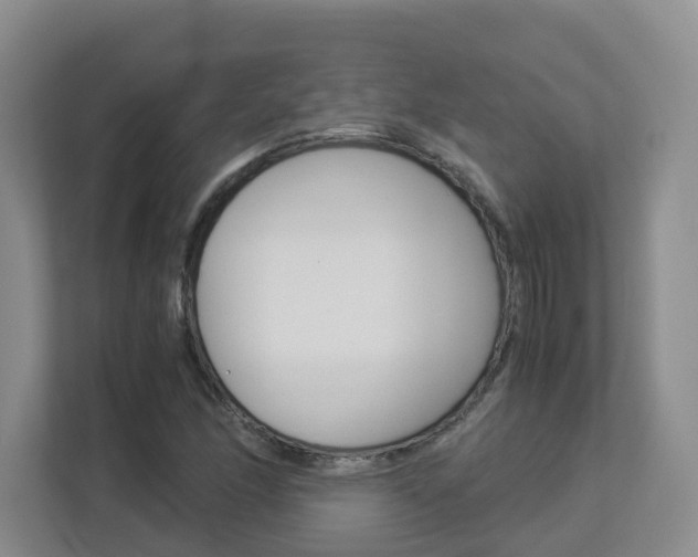 X0000112901166200908211044