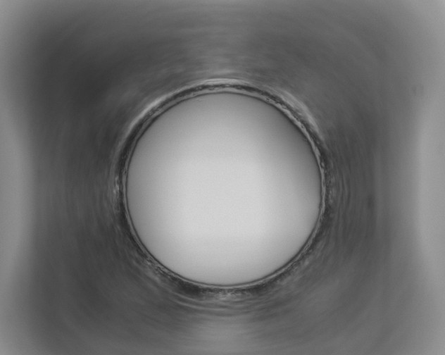 X0000112901167200908211044