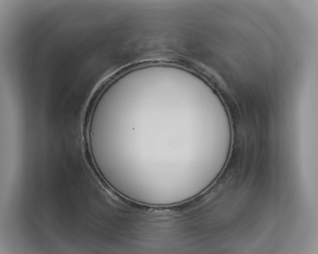 X0000112901168200908211044