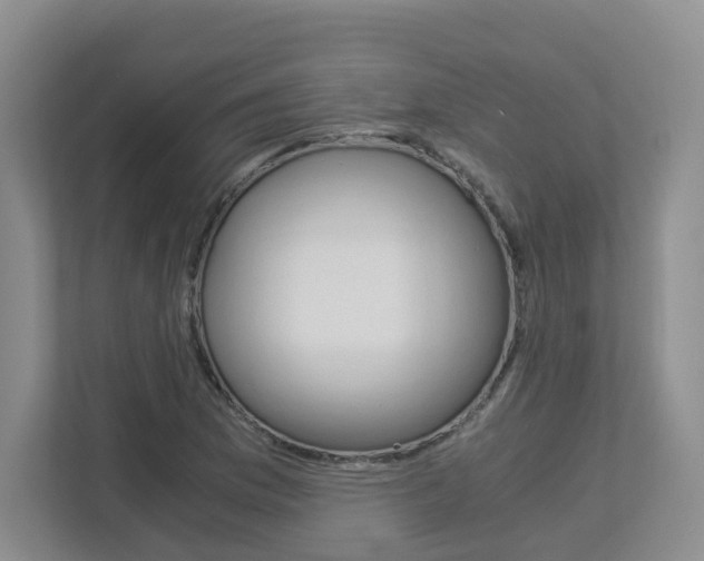 X0000112901169200908211044