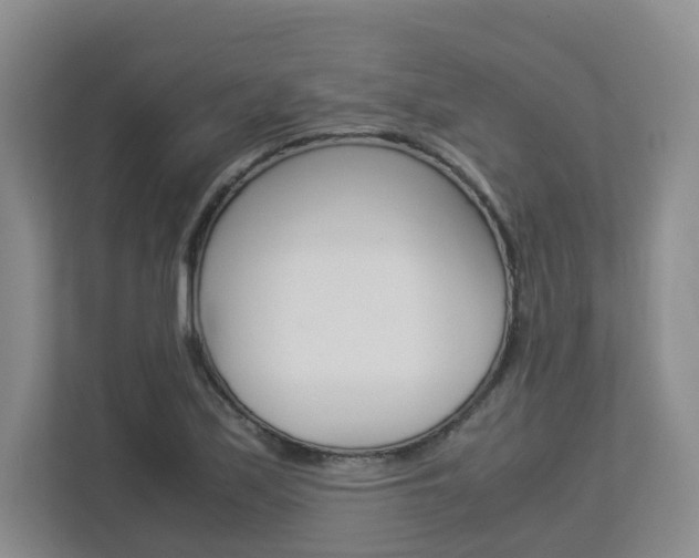 X0000112901171200908211044