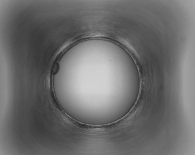 X0000112901173200908211044