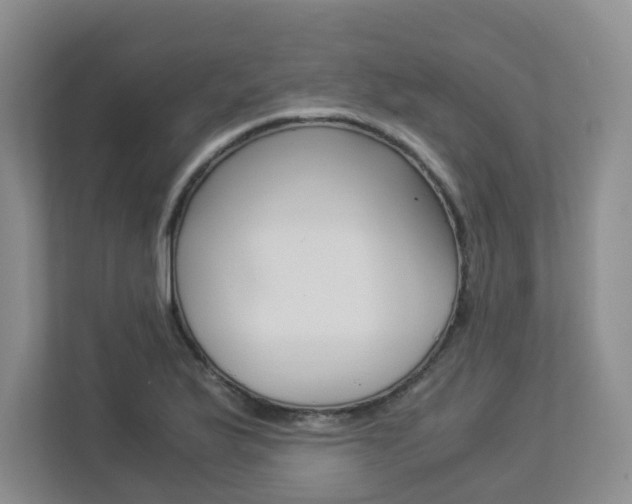 X0000112901175200908211044