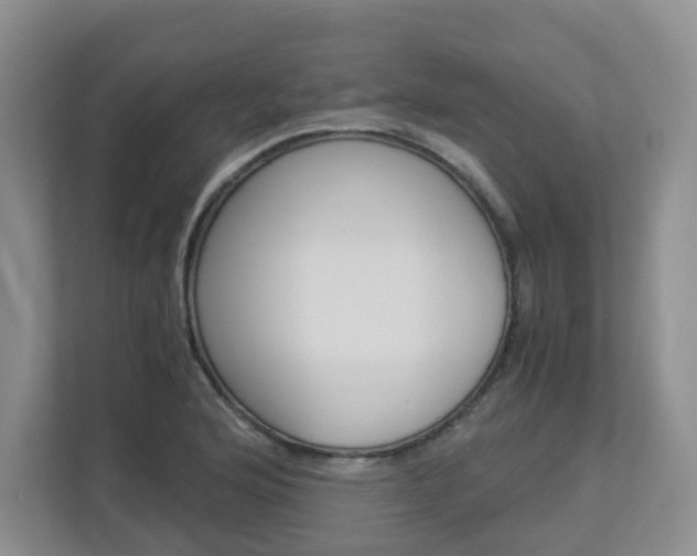 X0000112901176200908211044