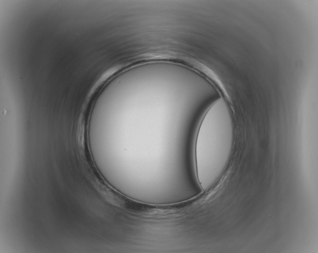 X0000112901179200908211044