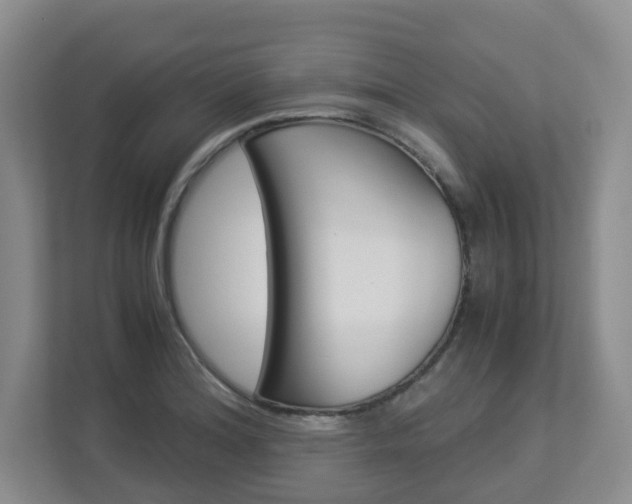 X0000112901180200908211044