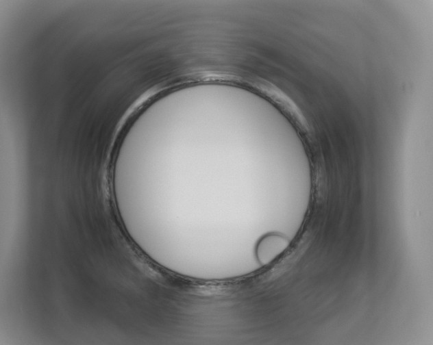X0000112901182200908211044