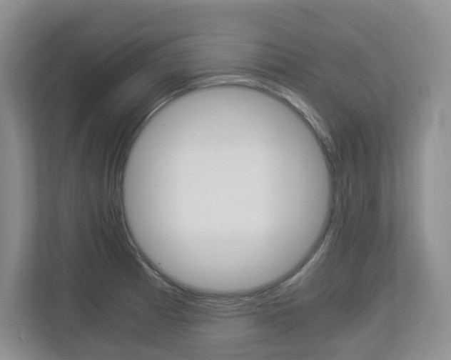 X0000112901185200908211044