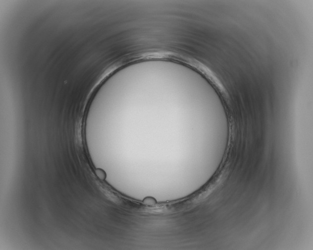 X0000112901186200908211044