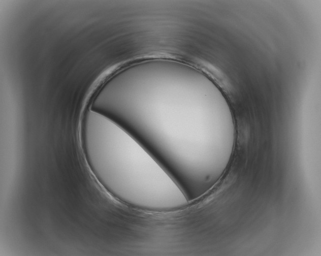 X0000112901188200908211044