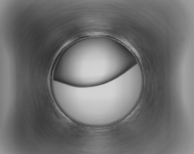 X0000112901189200908211044