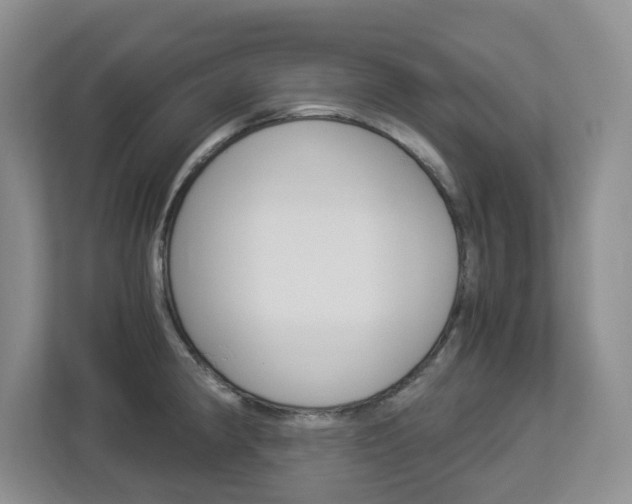 X0000112901190200908211044