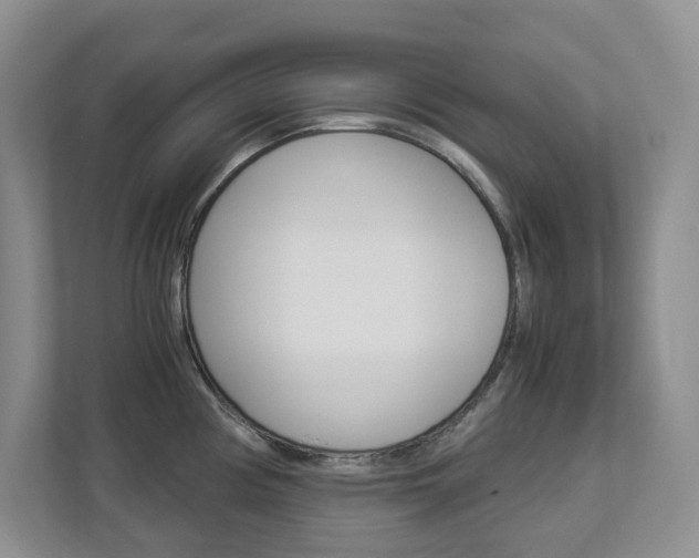X0000112901194200908211044