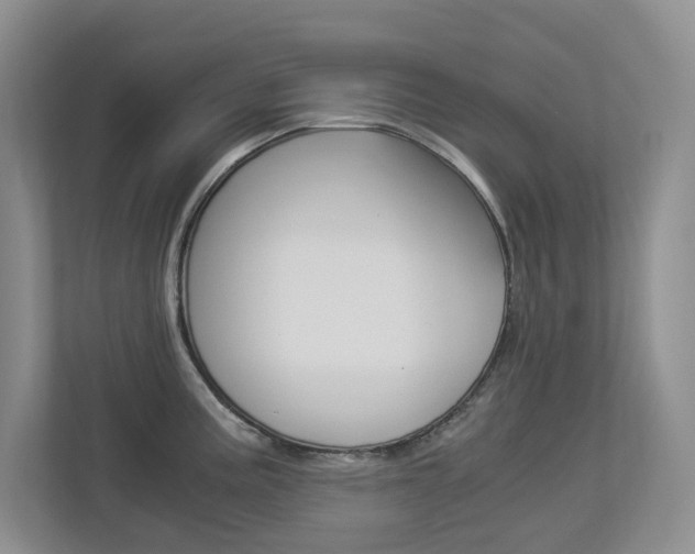 X0000112901195200908211044