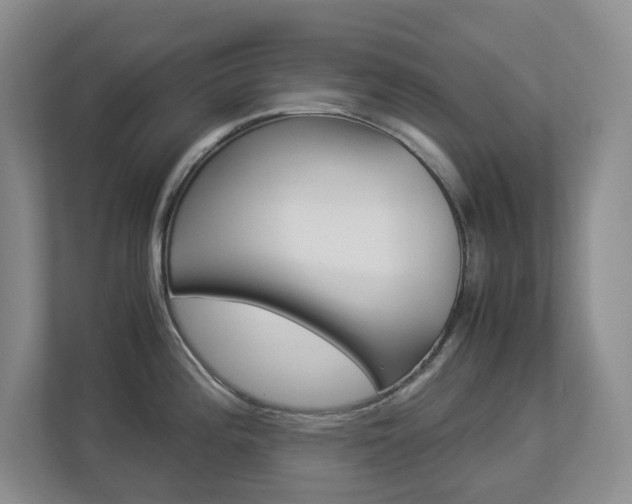 X0000112901196200908211044