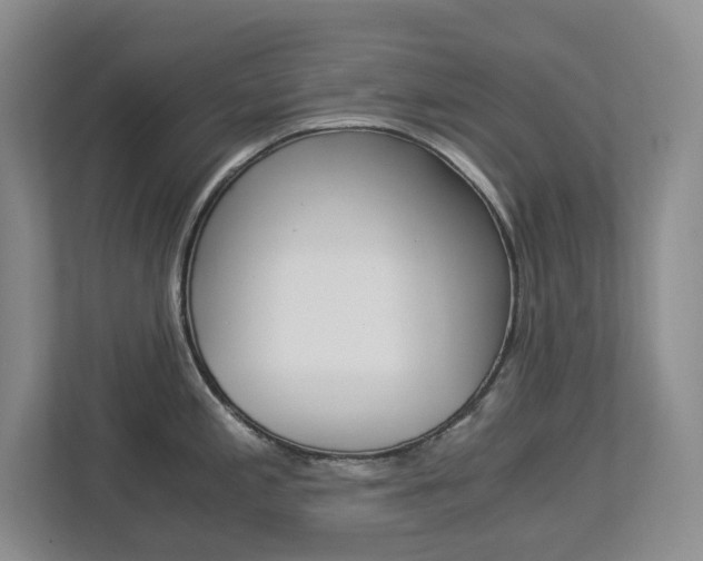 X0000112901197200908211044