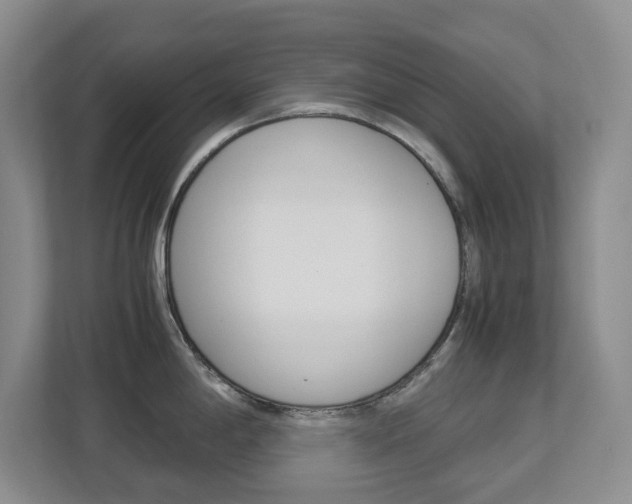 X0000112901198200908211044